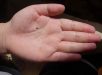 Xem bói nốt ruồi trên bàn tay để biết vận mệnh